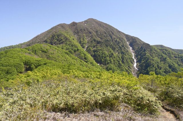 大地を守る会 お試しセット 980円